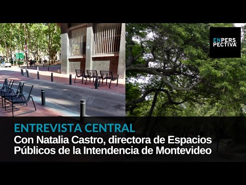 Montevideo: ¿Qué implican los cambios en calles de Ciudad Vieja y en ex zoológico de Villa Dolores?