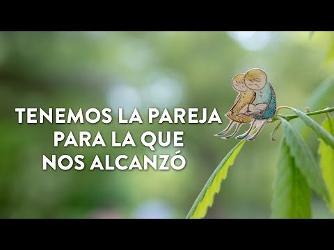 Tenemos la pareja para la que nos alcanzó | Martha Debayle