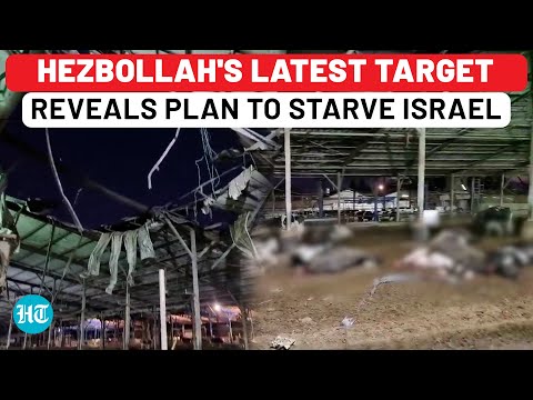 Hezbollah Distracts IDF, Hidden Attack Amid 85-Rocket Strike Shows Plan To Starve Israel? | Haifa