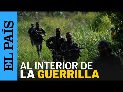 COLOMBIA | En la selva con los guerrilleros colombianos del grupo Segunda Marquetalia | EL PAÍS