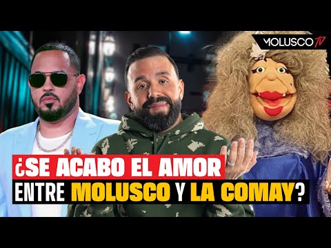 Molusco reacciona CON AMOR a la descarga de La Comay por vídeo de Pina