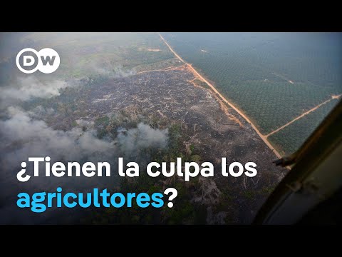 Autoridades de Perú apuntan a las quemas de parcelas como causa de graves incendios