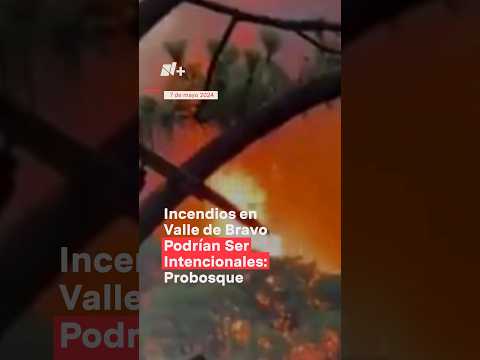 Incendios en Valle de Bravo podrían ser intencionales: Probosque #nmas #shorts #incendiosforestales
