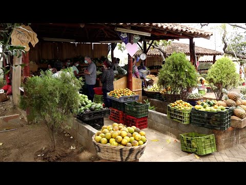 Encuentre productos frescos en el Mercado Campesino