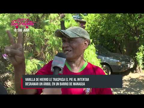 Varilla de hierro le traspasa el pie al intentar derramar un árbol en Managua - Nicaragua