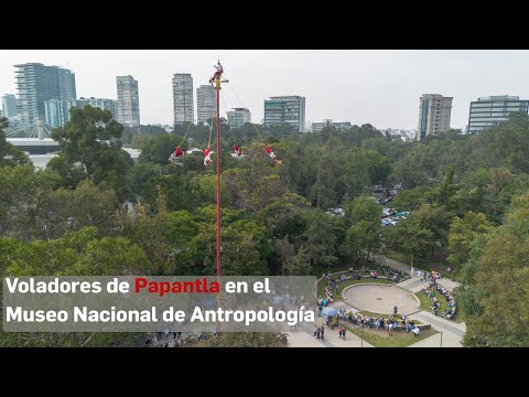 Voladores de Papantla se presentaron frente al Museo Nacional de Antropología