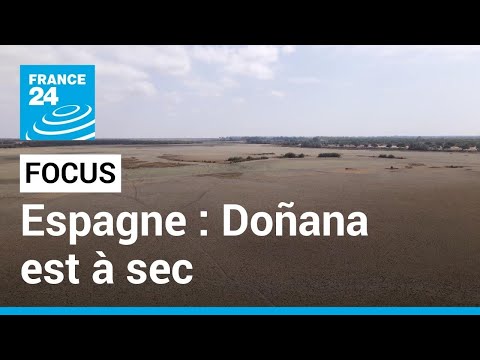 Le parc de Doñana en Espagne est à sec : l’une des plus grandes zones humides d’Europe menacée