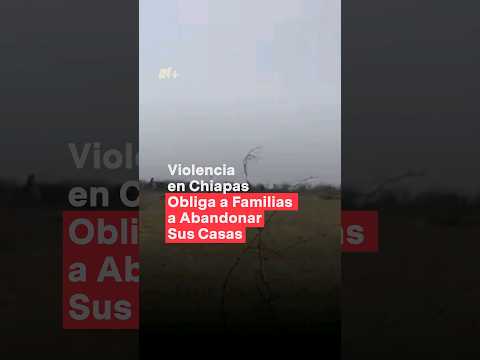 Violencia en Chiapas obliga a familias a abandonar sus casas #nmas #shorts #chiapas