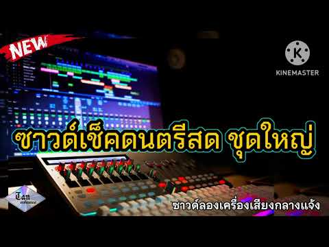 ซาวด์เช็คดนตรีสดชุดใหญ่ซาวด์