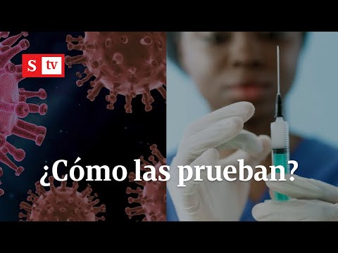 ¿Cómo confirma la ciencia la efectividad de una vacuna contra la covid-19 I Videos Semana