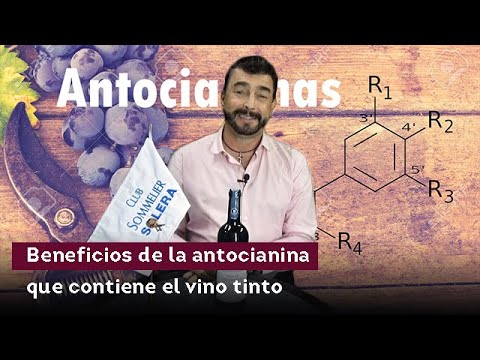 Beneficios de la antocianina que contiene el vino tinto