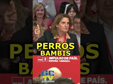 Nos pueden llamar PERROS Teresa Ribera apoyando a Pedro Sánchez