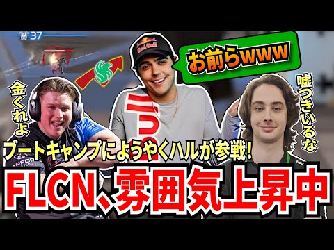 ハル、ブートキャンプに遅れて参加！突然雰囲気が良くなり世界スクリム総合１位に！だが今度はWxltzyとDraugrに新たな心配が！