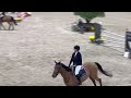 Show jumping horse 11-jarige springmerrie