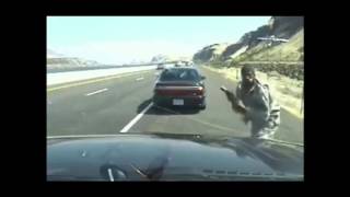 فيديو : تبادل لإطلاق النار بين سائق وشرطي مرور