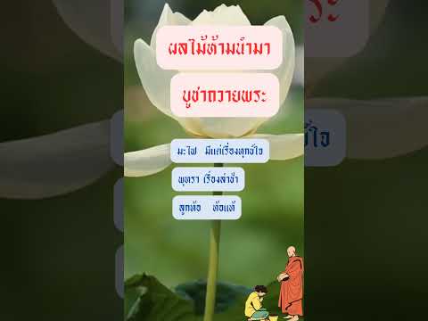 สร้างบุญเสริมดวงชะตา