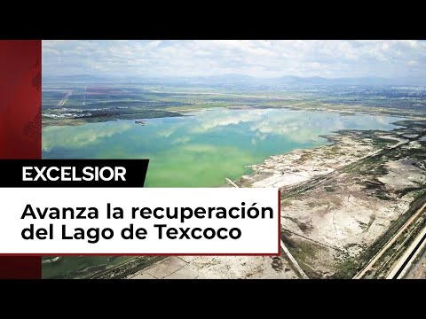 Lago de Texcoco vuelva a cobrar vida