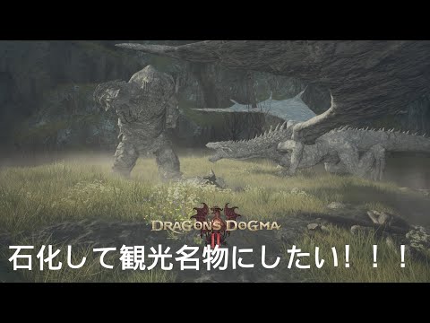 【ドラゴンズドグマ2】モンスターを石化して観光名物にしたい〜古戦場跡地編〜#ドラゴンズドグマ2#DragonsDogma2#ゲーム実況#1周年#オープンワールド#DD2#RPG#ポーン#石化#観光名物