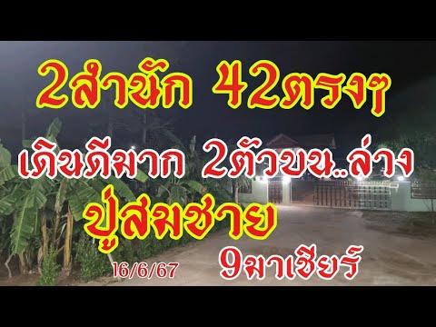 42ตรงๆ2สำนักปู่สมชาย9มาเชีย