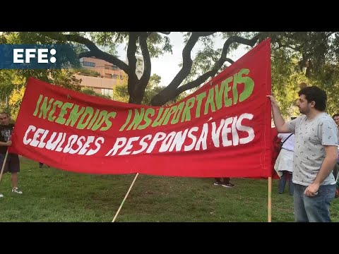 Protestos em Portugal colocam foco na indústria de celulose como responsável por fogo