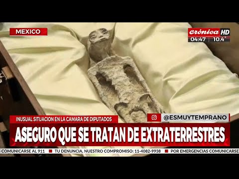 Periodista muestra cadáveres extraterrestres en Diputados