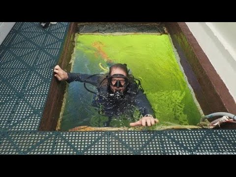 Hombre vivirá 100 días bajo el agua con fines científicos