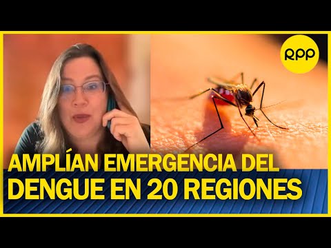 Paz Soldán: “La población debe saber que hacer para ayuda a prevenir el dengue en sus hogares”