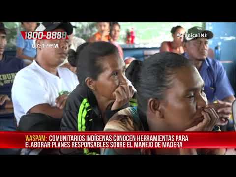 Desarrollan taller de forestería comunitaria en comunidades indígenas de Waspám – Nicaragua