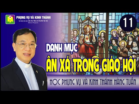 Bài số 11: "DANH MỤC ÂN XÁ TRONG GIÁO HỘI" | Lm. Vinh Sơn Nguyễn Thế Thủ