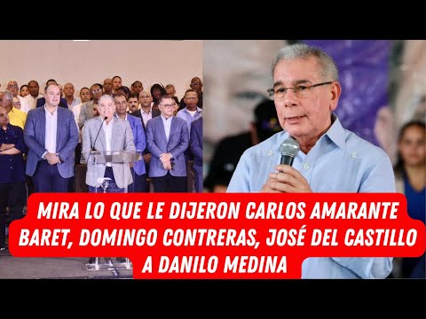 MIRA LO QUE LE DIJERON CARLOS AMARANTE BARET, DOMINGO CONTRERAS, JOSÉ DEL CASTILLO A DANILO MEDINA