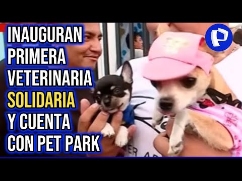Comas: municipio de Lima inaugura la primera veterinaria solidaria