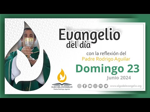 Evangelio de hoy l 23 de junio de 2024 l  XII Domingo  durante el año (B)I san Marcos 4, 35-41