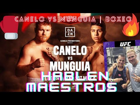 CANELO VS MUNGUIA: porcetajes de victoria para Jaime