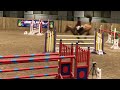 Show jumping horse Grand Prix 6yo prospect