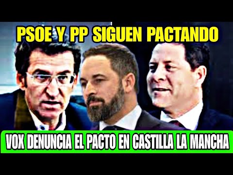 VOX DENUNCIA QUE EL PP PACTA CON EL PSOE EN CASTILLA LA MANCHA PARA LLENARSE LOS BOLSILLOS