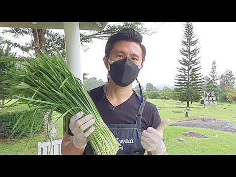 ทำอาหารนอกสถานที่กลางธรรมชาติ- ทำอาหารนอกสถานที่กลางธรรมชาติ-