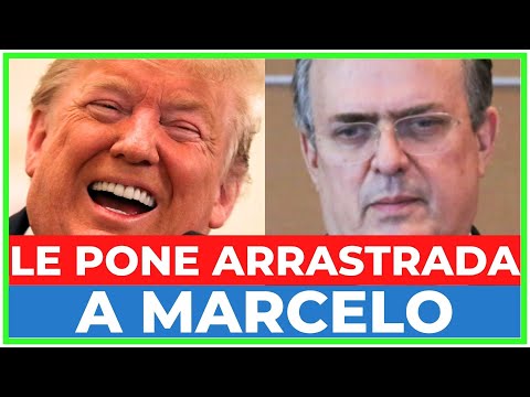 TRUMP dejó en RIDÍCULO a EBRARD: Le puso una MEGA ARRASTRADA al CREER que INSULTO era para ÉL