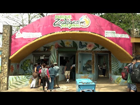 Zoológico, Parque Saurio, Mirador de Catarina, son paradas obligatorias en Masaya