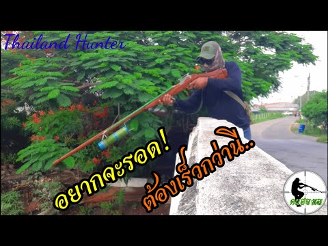 SHOOT-FISH-ยิงปลาคลองธรรมชาติ- SHOOT-FISH-ยิงปลาคลองธรรมชาติ-