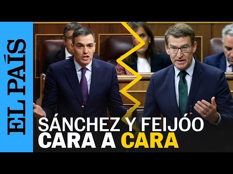 Los mejores momentos del cara a cara entre Sánchez y Feijóo en la sesión de control | EL PAÍS