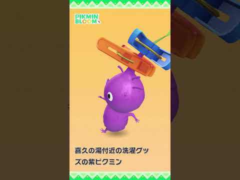 【ピクミンブルーム】「ランドリー・クリーニング：洗濯グッズ」デコピクミン モーション比較 #pikminbloom #ピクミン #洗濯グッズデコピクミン#shorts