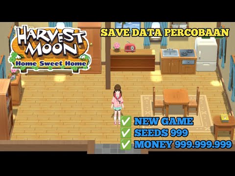 SaveDataHarvestMoon:HomeS