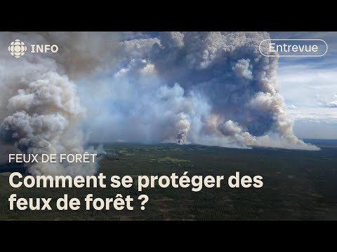 Comment protéger les communautés vulnérables contre les incendies de forêt ?