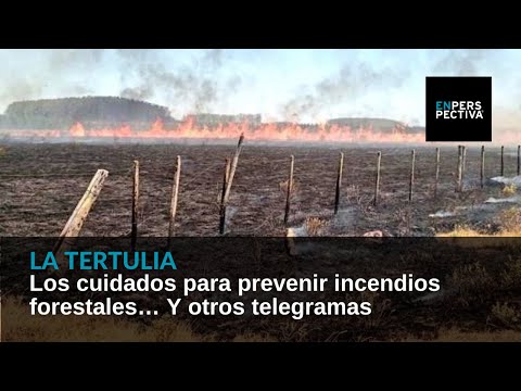 Los cuidados para prevenir incendios forestales… Y otros telegramas