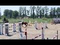 Show jumping horse Lietina 7yo mare with a winners mentality