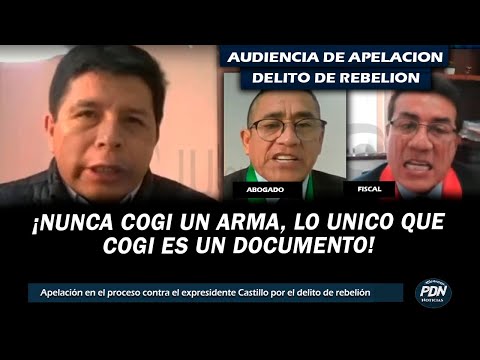 Nunca cogi un arma, sino un documento CASTILLO EN SU AUDIENCIA APELACION POR EL DELITO DE REBELION