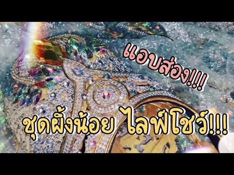 พานักร้อง-แดนซ์เซอร์-เลือกชุดโ พานักร้อง-แดนซ์เซอร์-เลือกชุดโ