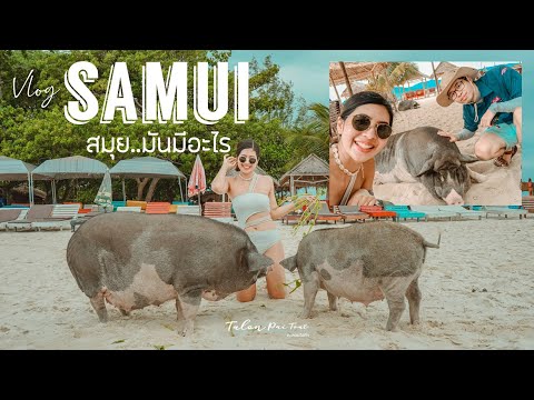สมุยครั้งแรกในชีวิต-สนุกมาก!!- สมุยครั้งแรกในชีวิต-สนุกมาก!!-
