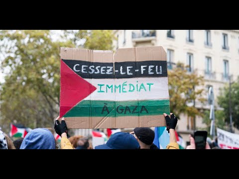 Soutien à la Palestine : plusieurs députés de la France Insoumise étaient présents dans les cortèges