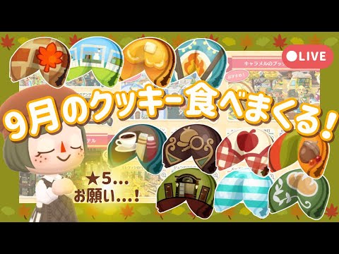 【ポケ森配信】9月のクッキー食べまくる配信！🥠🍁┊リーフストーン大量消費💸【初心者実況】